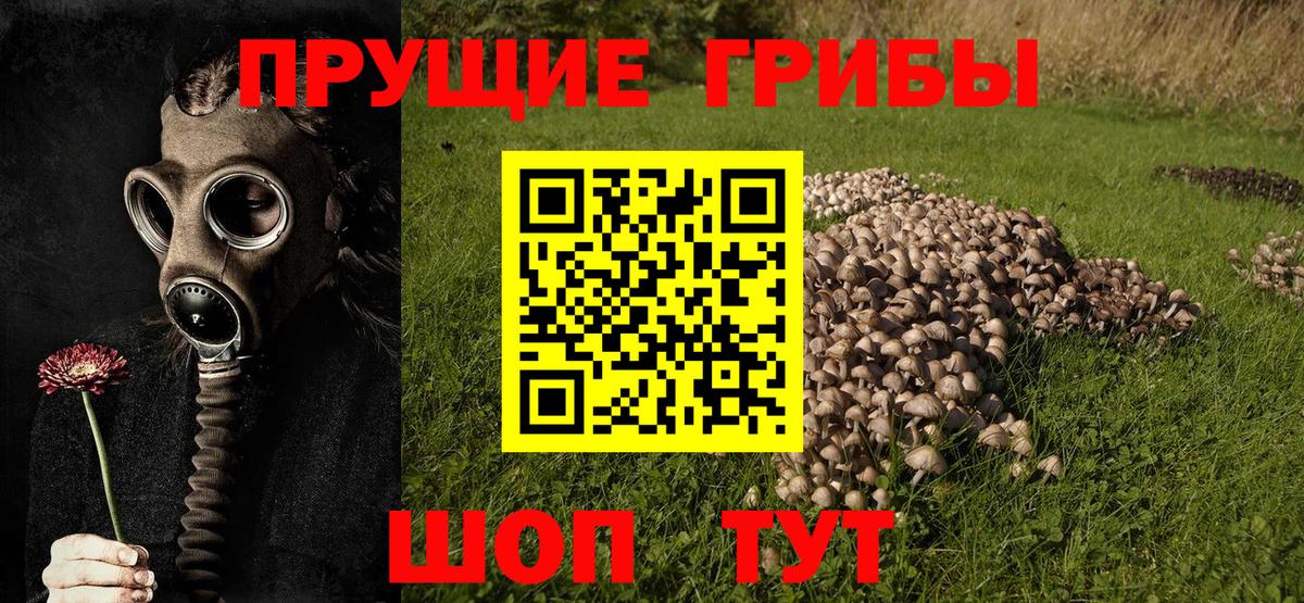 Кубинка  Псилоцибиновые грибы мицелий  Вход с VPN 