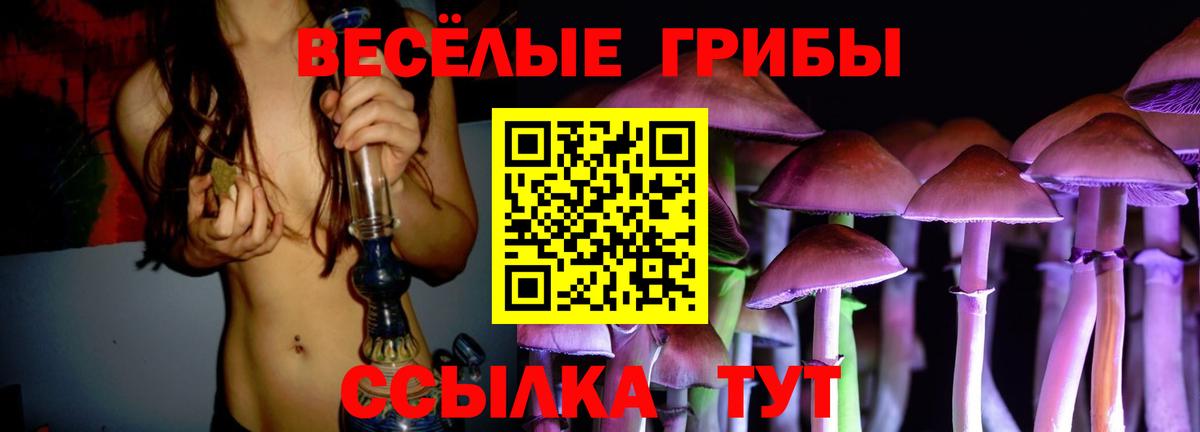 Галлюциногенные грибы Cubensis Кубинка